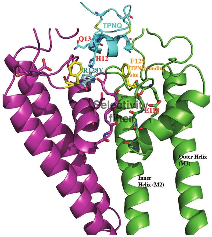 Figure 17