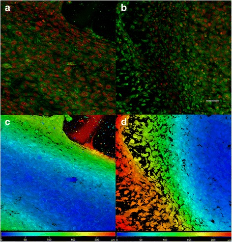 Fig. 10