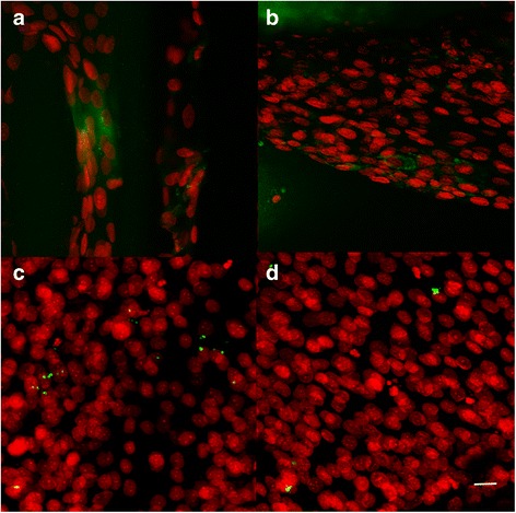 Fig. 11