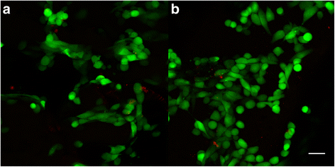 Fig. 12