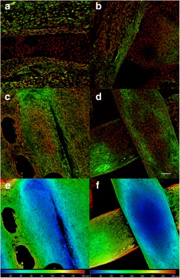 Fig. 9