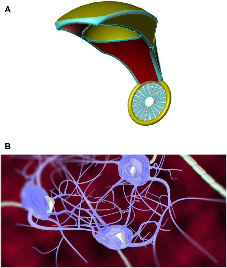 FIGURE 4