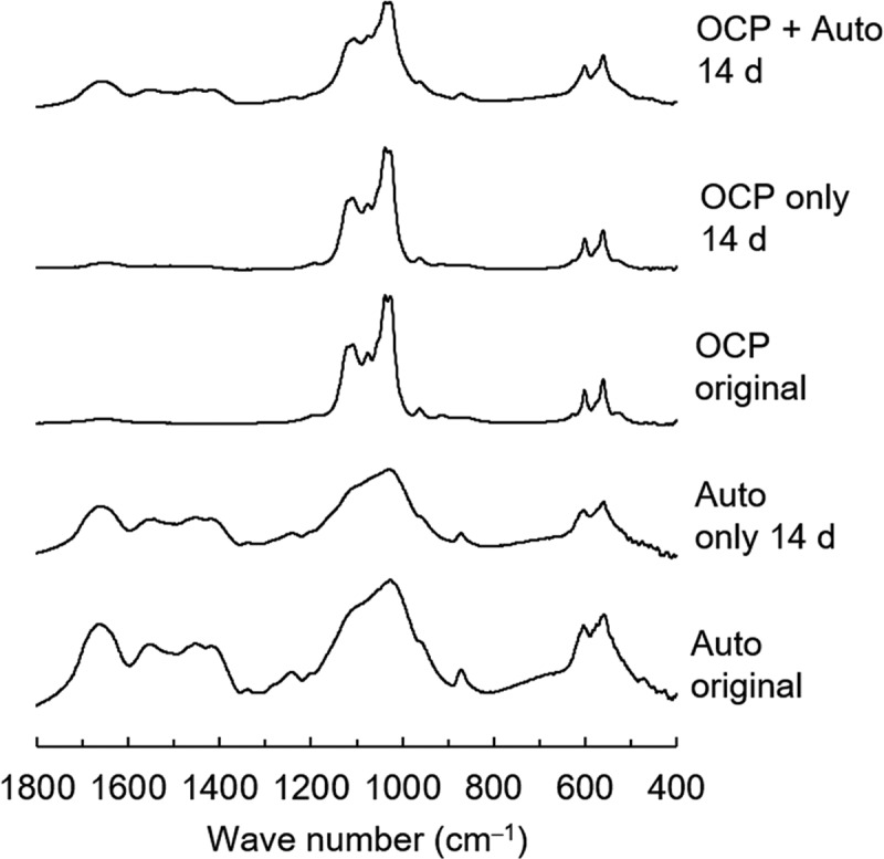 Figure 10.