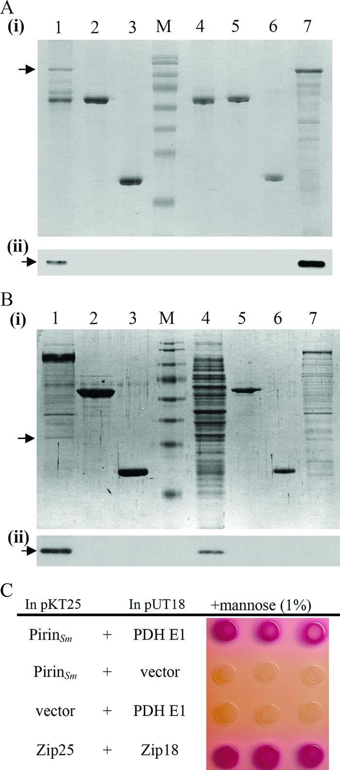 FIG. 3.