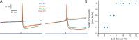 Figure 4—figure supplement 1.
