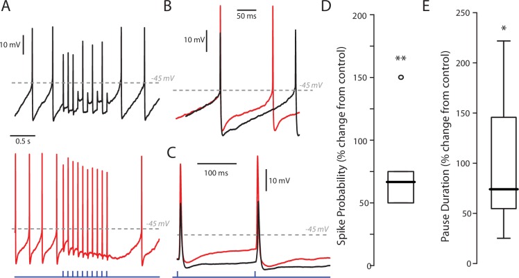 Figure 5—figure supplement 1.