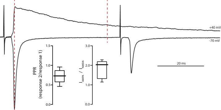 Figure 1—figure supplement 2.