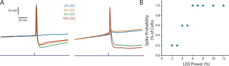 Figure 4—figure supplement 1.