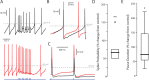 Figure 5—figure supplement 1.