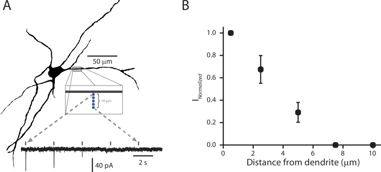 Figure 3—figure supplement 1.