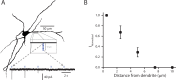 Figure 3—figure supplement 1.