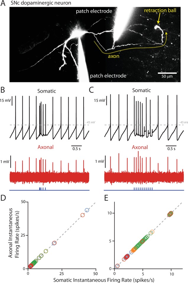 Figure 6.