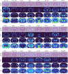 Extended Data Fig. 7.