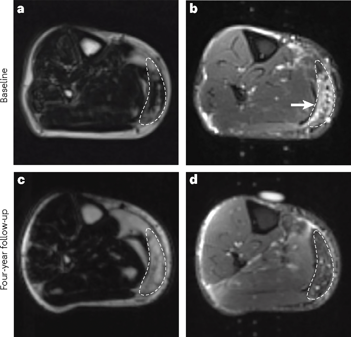 Fig. 2 |