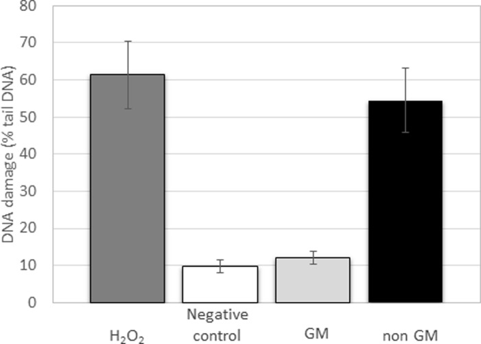 Fig 5