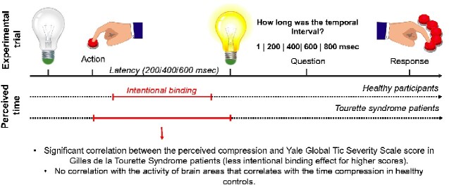 Graphical Abstract