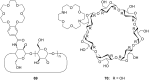 Figure 45