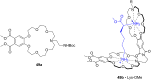 Figure 31