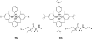 Figure 64