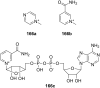 Figure 118