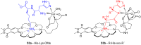 Figure 35