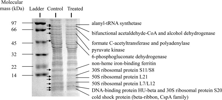 FIG 1