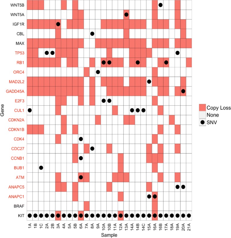 Fig. 3