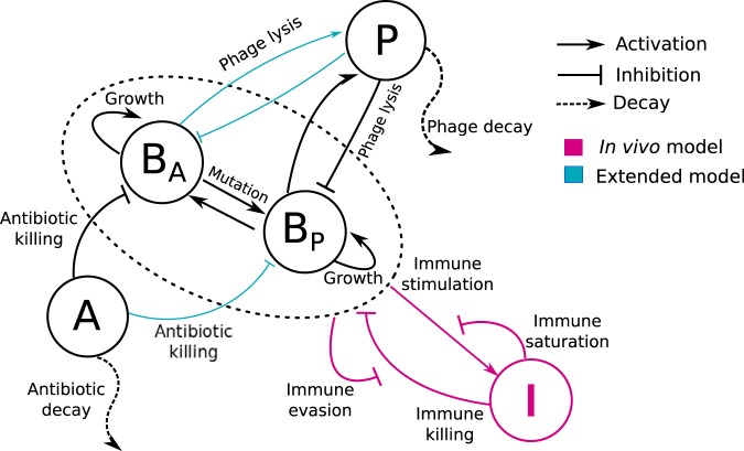 FIG 1