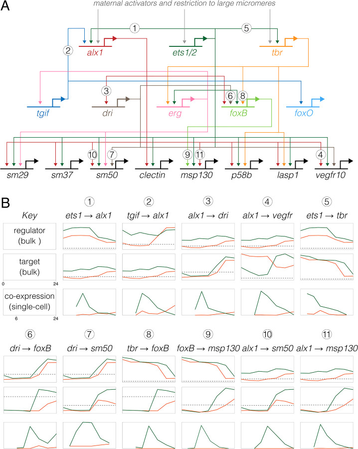 Figure 6.