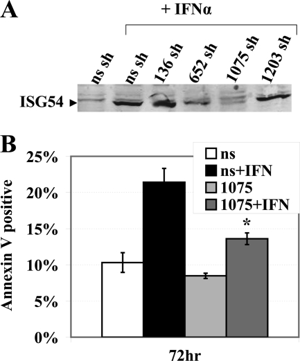 FIGURE 7.