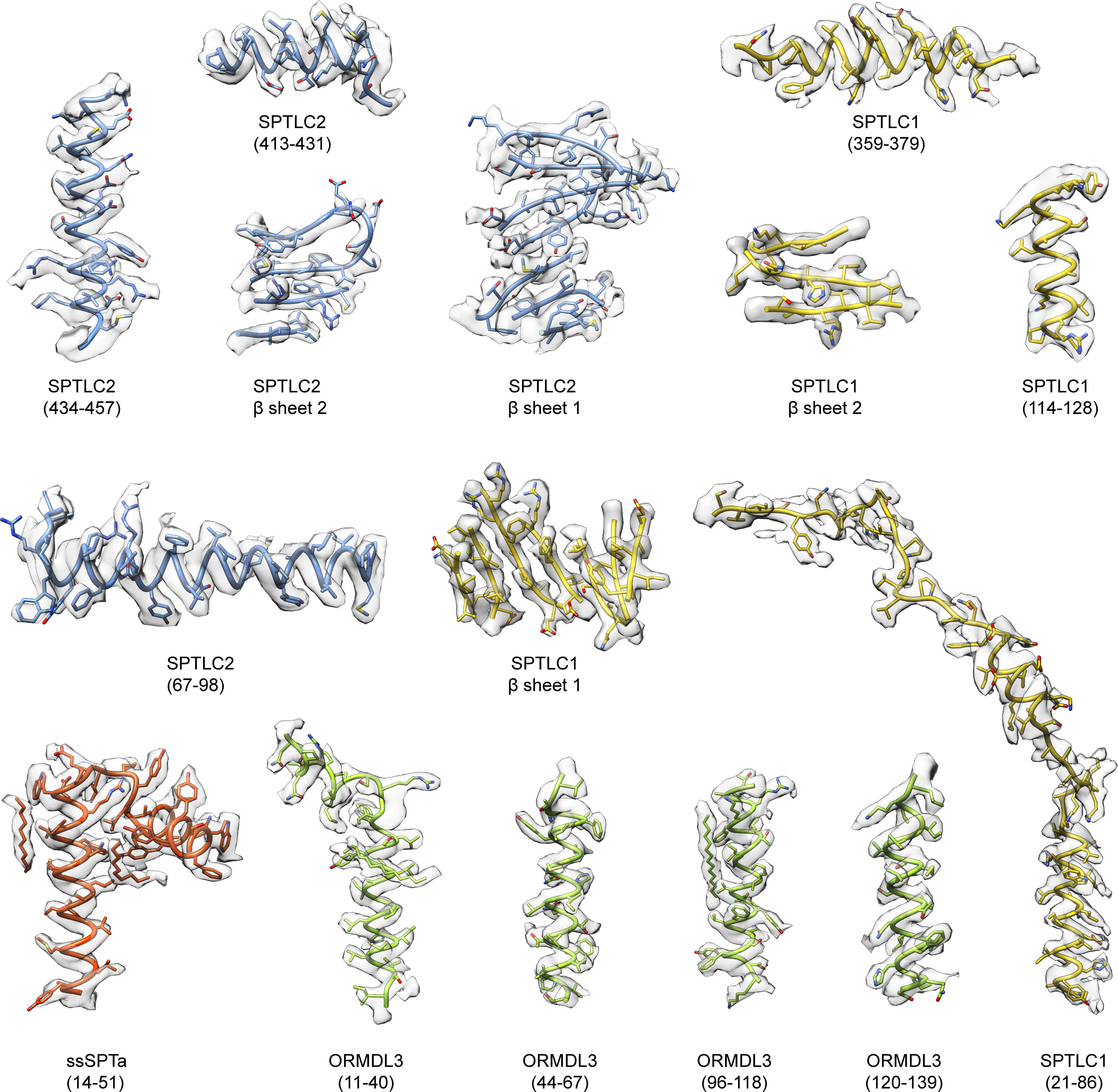 Extended Data Fig. 6