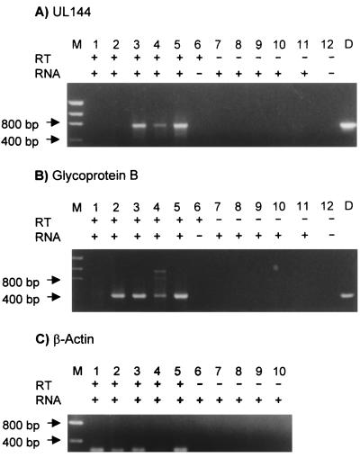 FIG. 6