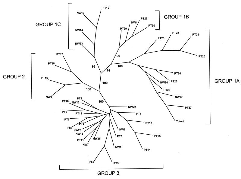 FIG. 3