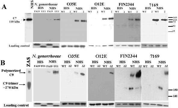 FIG. 4.