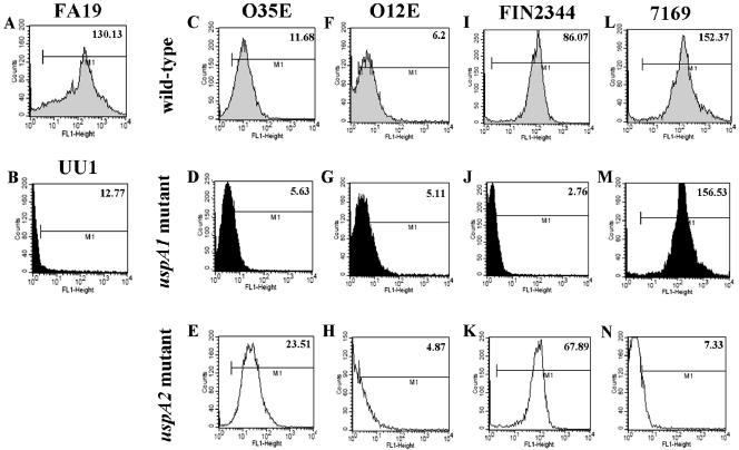 FIG. 8.