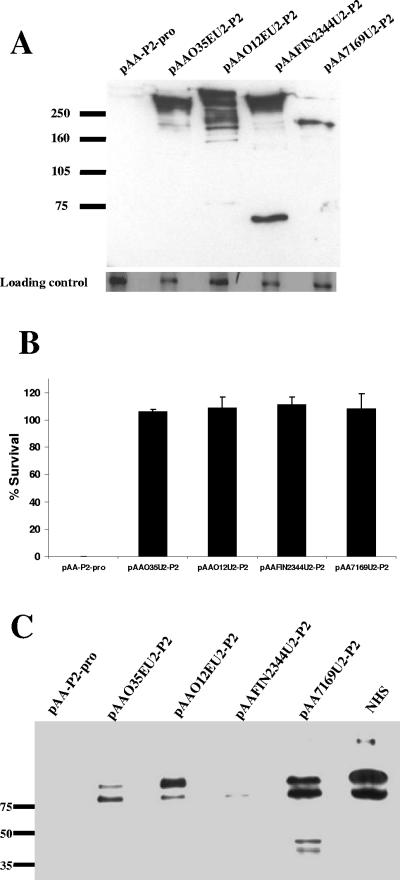 FIG. 7.