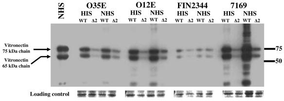 FIG. 5.