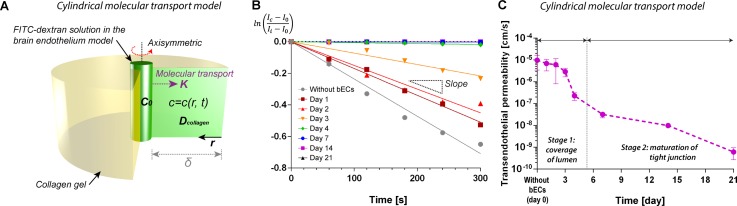 FIG. 6.