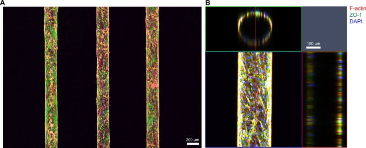 FIG. 4.