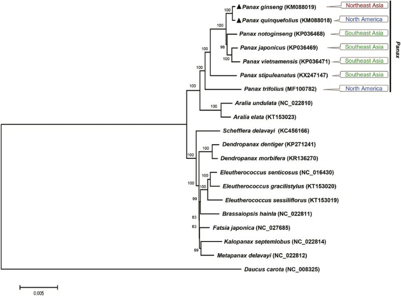 Fig. 2