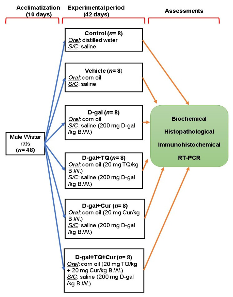 Figure 13