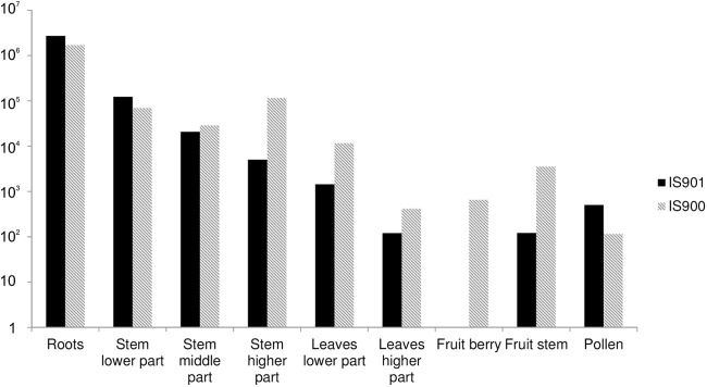 FIG 4