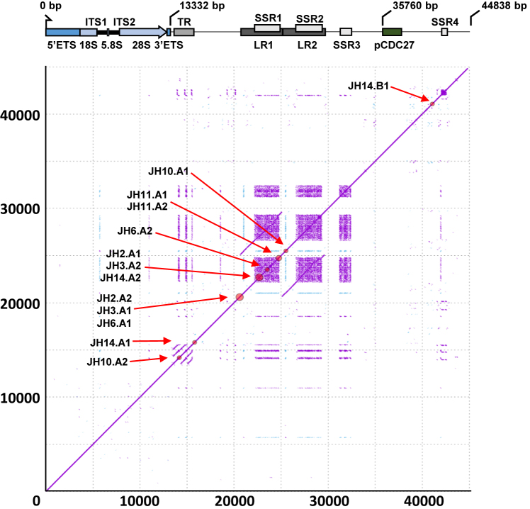 Figure 3.