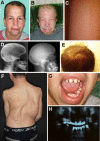 Figure 1