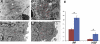 Figure 5