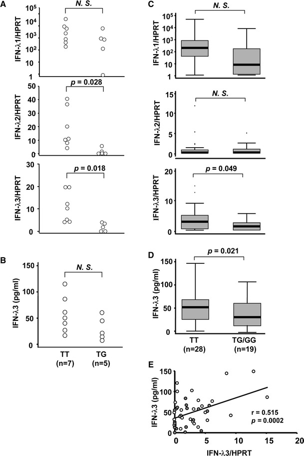 Fig. 4