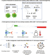 Graphical Abstract
