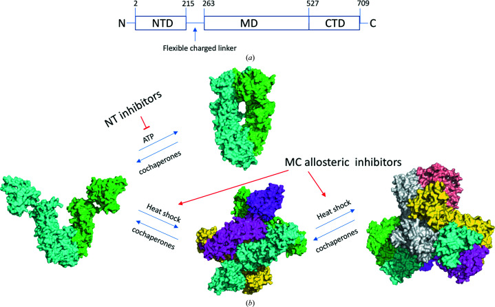 Figure 10