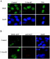 FIG. 6.