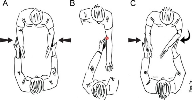 Fig. 2